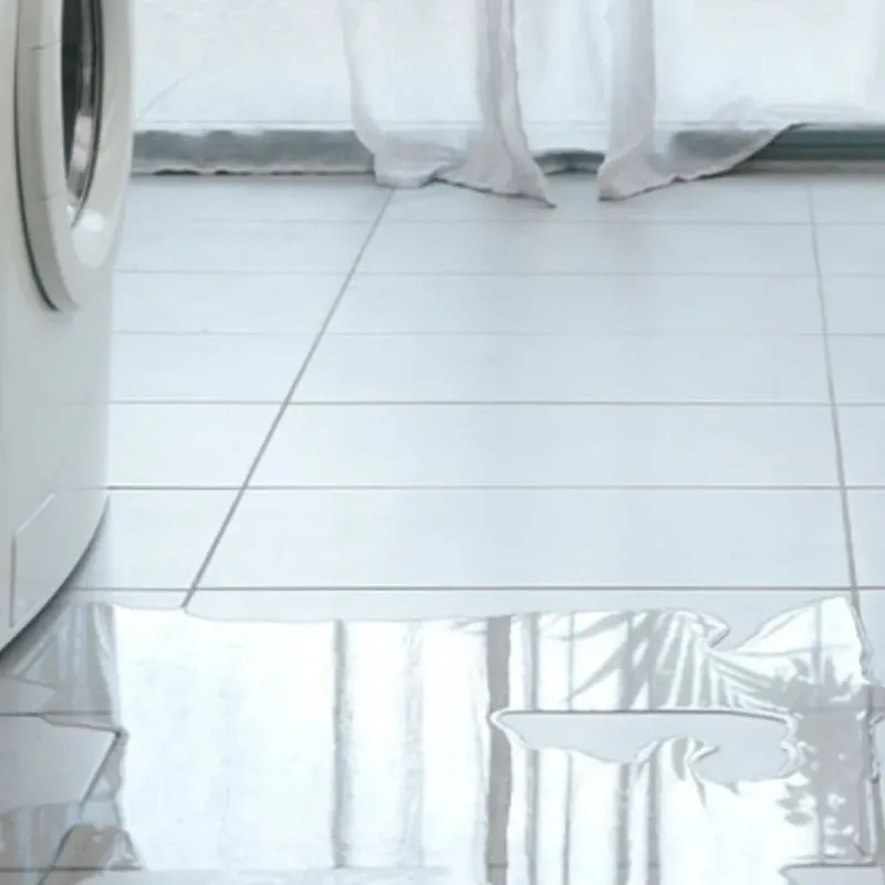 Appliance Leak Cleanup in Double Springs, AL