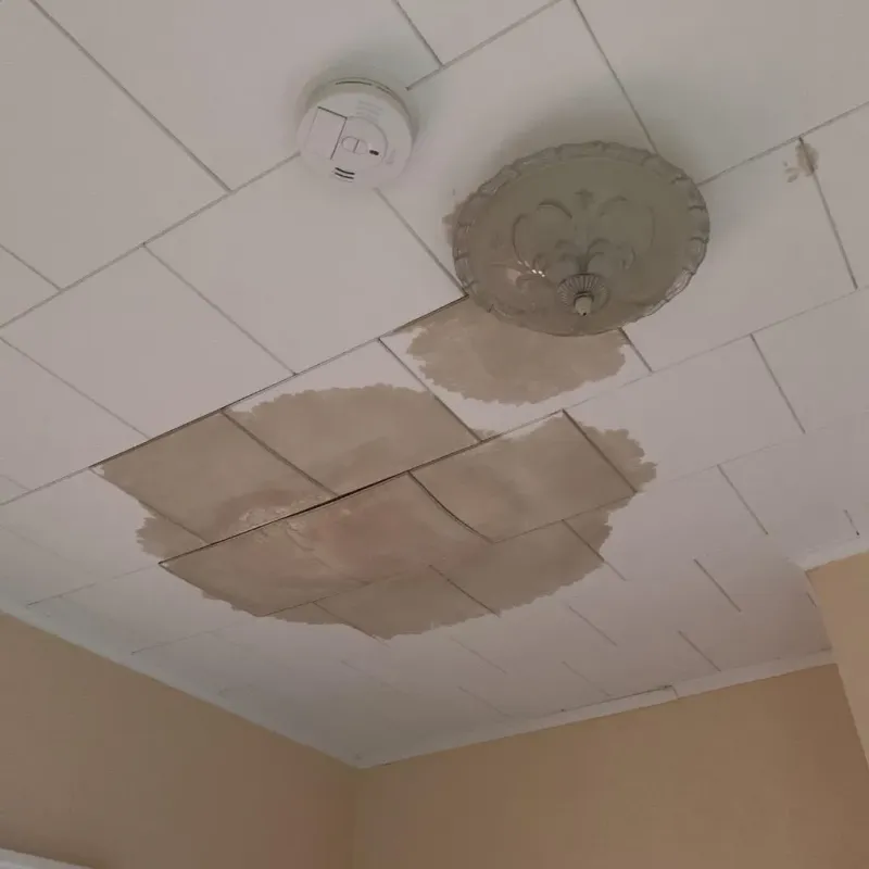 Ceiling Water Damage Repair in Double Springs, AL