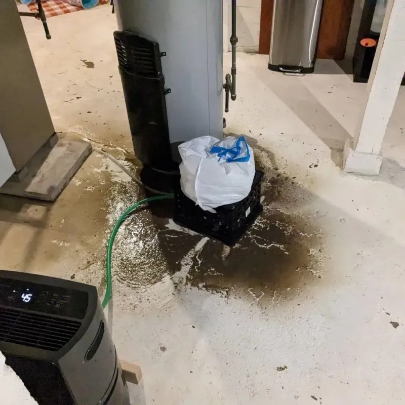 Sewage Backup Cleanup Service in Double Springs, AL
